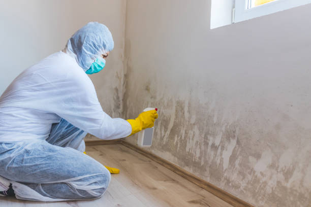 Licensed Mold Testing service in Weehawken, NJ - WQB Mold Removal