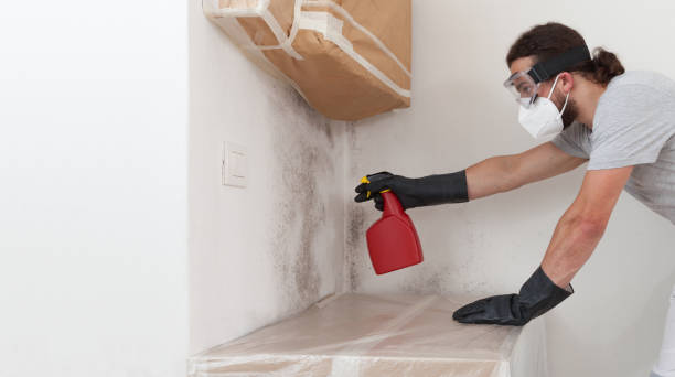 Professional Mold Testing technician working in Weehawken, NJ