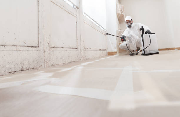 24/7 Emergency Mold Testing experts in Weehawken, NJ