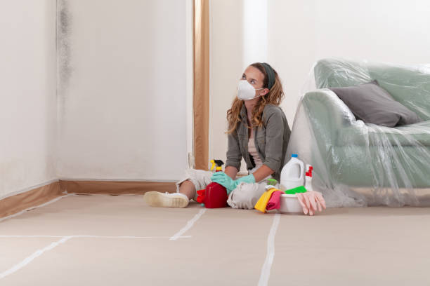 Reliable Mold Testing contractor in Weehawken, NJ by WQB Mold Removal